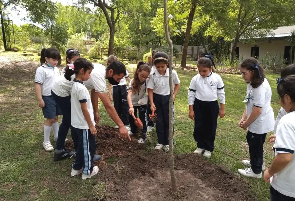 Educación y medio ambiente: cómo generar un vínculo sostenible