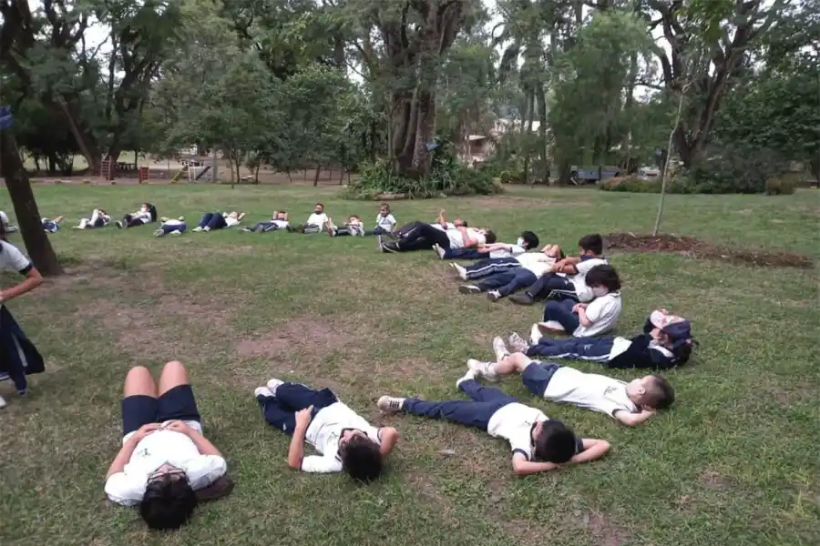 Educación y medio ambiente: cómo generar un vínculo sostenible