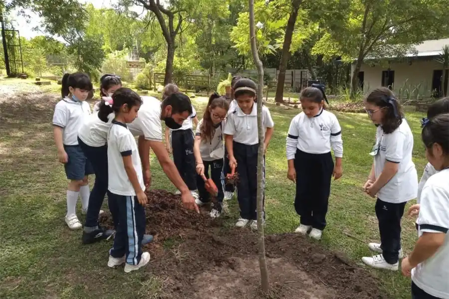 Educación y medio ambiente: cómo generar un vínculo sostenible