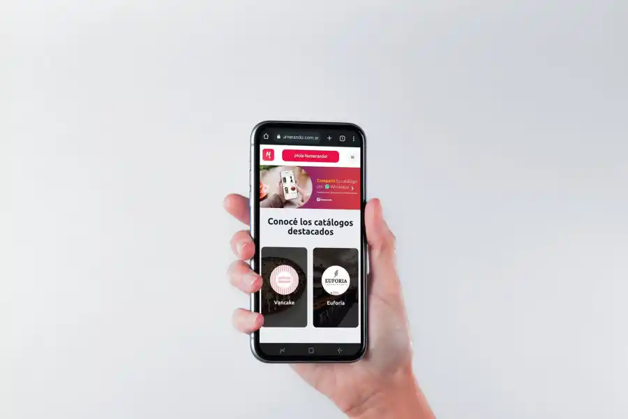 Con Numerando comerciantes y emprendedores podrán vender en el Hot Sale