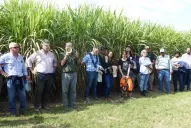 Productores se capacitaron sobre diversos aspectos de la caña semilla de alta calidad