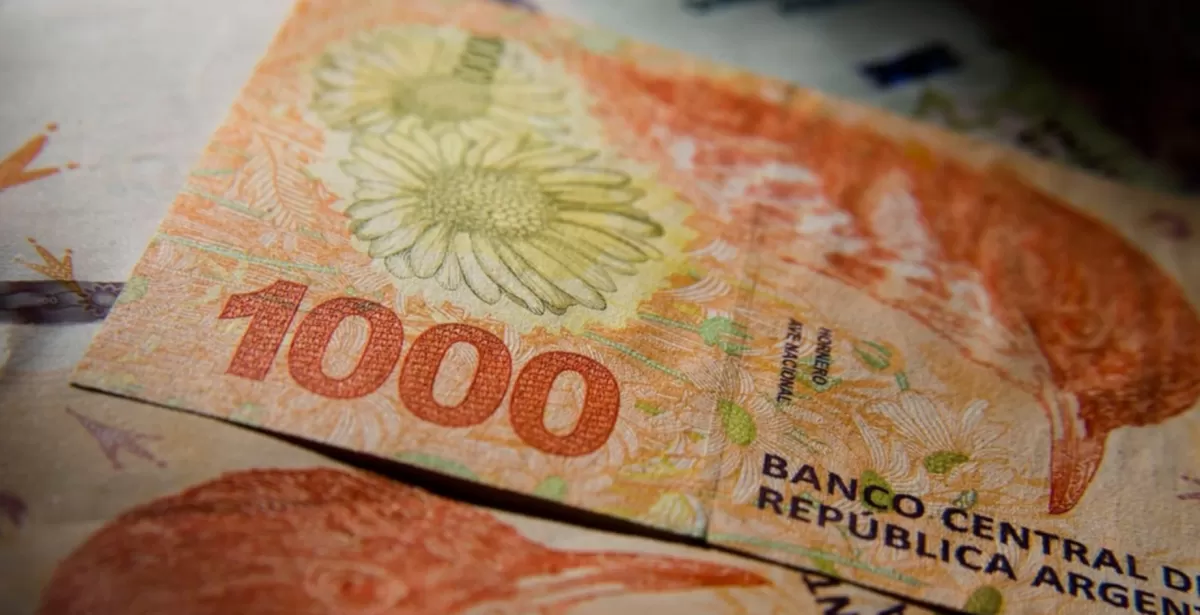 El reemplazo de los animales autóctonos de los billetes será paulatino