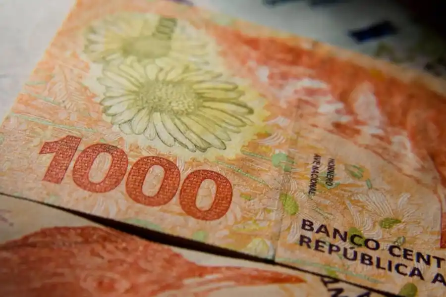 El reemplazo de los animales autóctonos de los billetes será paulatino