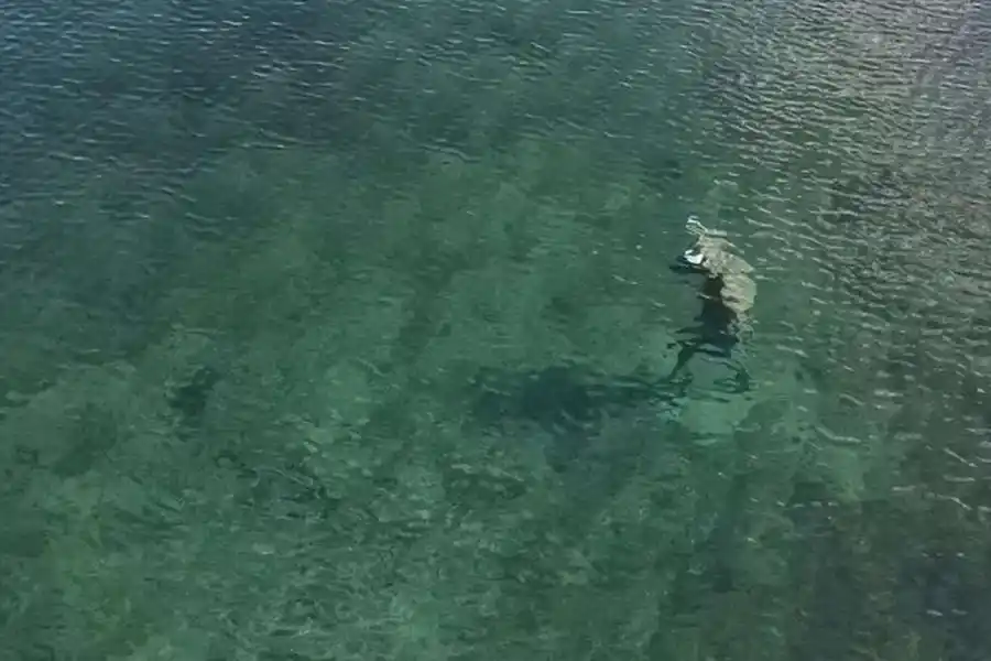 El minotauro visto desde arriba