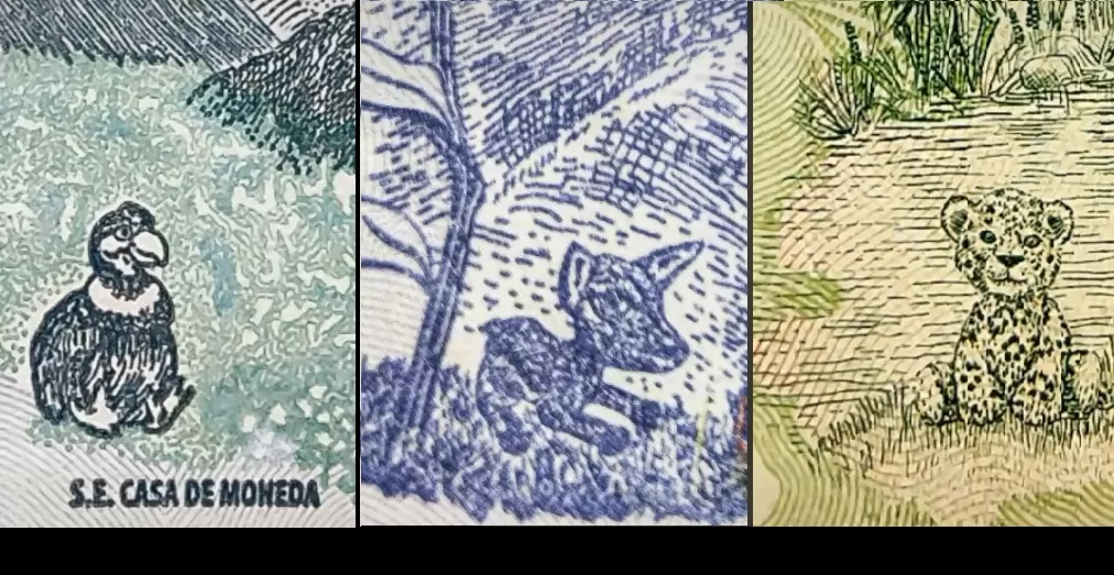 Hizo tiernos videos sobre los animalitos de los billetes y se volvió viral