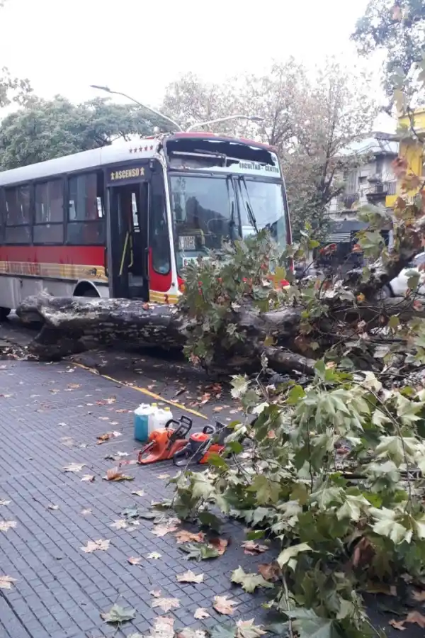 Foto enviada a LG WhatsApp