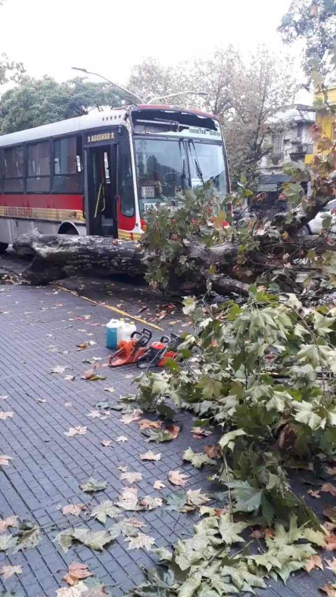 Foto enviada a LG WhatsApp