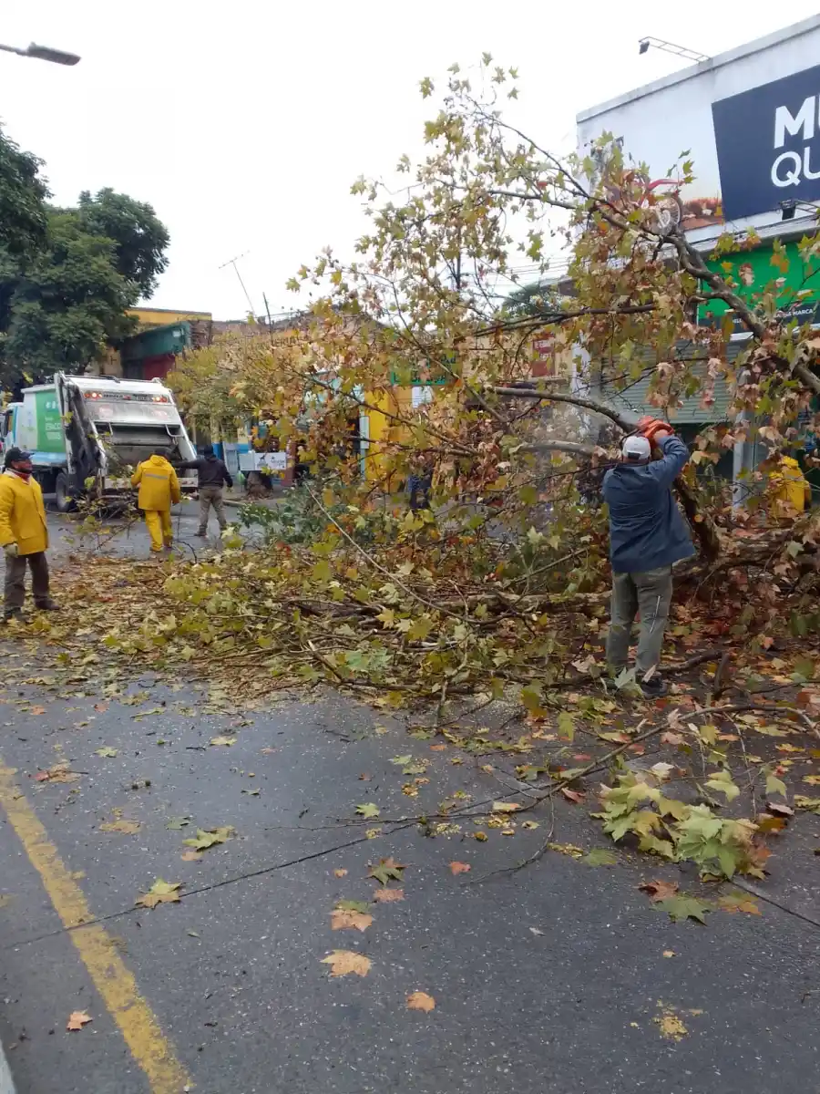 PERSONAL DEL MUNICIPIO TRABAJA PARA LIBERAR EL TRÁNSITO EN LA ZONA DEL SINIESTRO