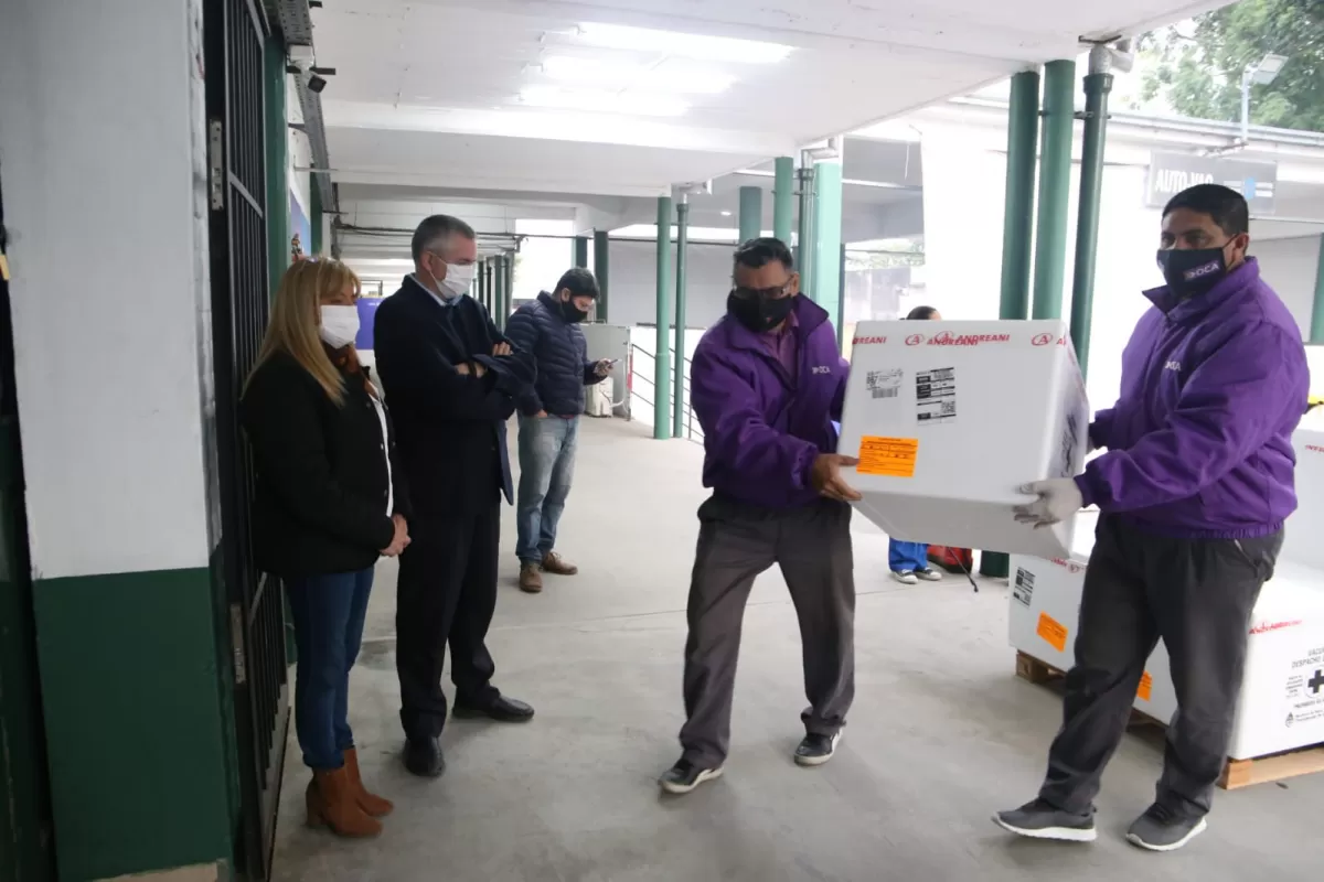 Llegaron más de 24.000 vacunas antigripales . Ministerio de Salud