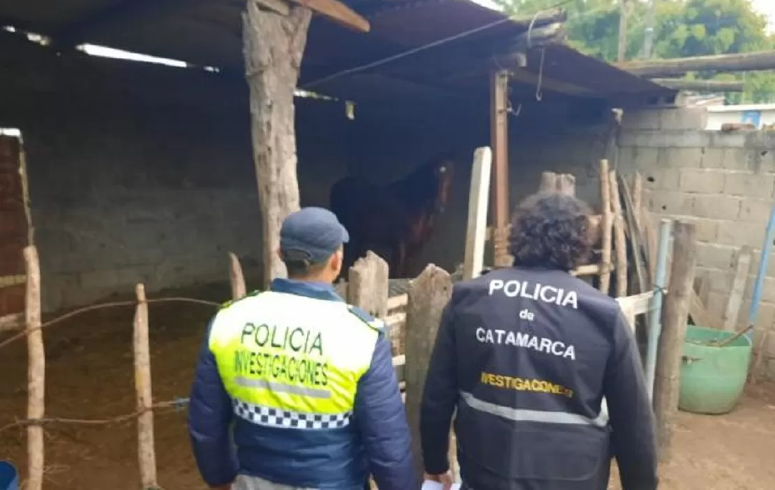 La policía recuperó en Tucumán un caballo de carrera robado en Catamarca