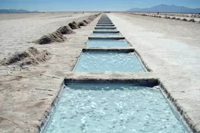 La Nación estima que en cinco años el país podría multiplicar por seis producción de litio