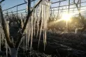 Tucumán registró las primeras heladas del año: en dónde y a cuánto bajó la temperatura