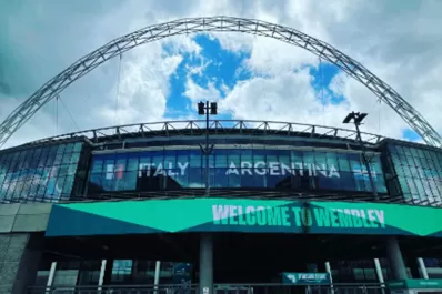 Italia-Argentina y Escocia-Ucrania, lo más destacado de la agenda de TV