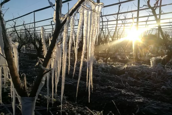 Tucumán registró las primeras heladas del año: en dónde y a cuánto bajó la temperatura