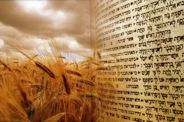 La comunidad judía celebra hoy el shavuot