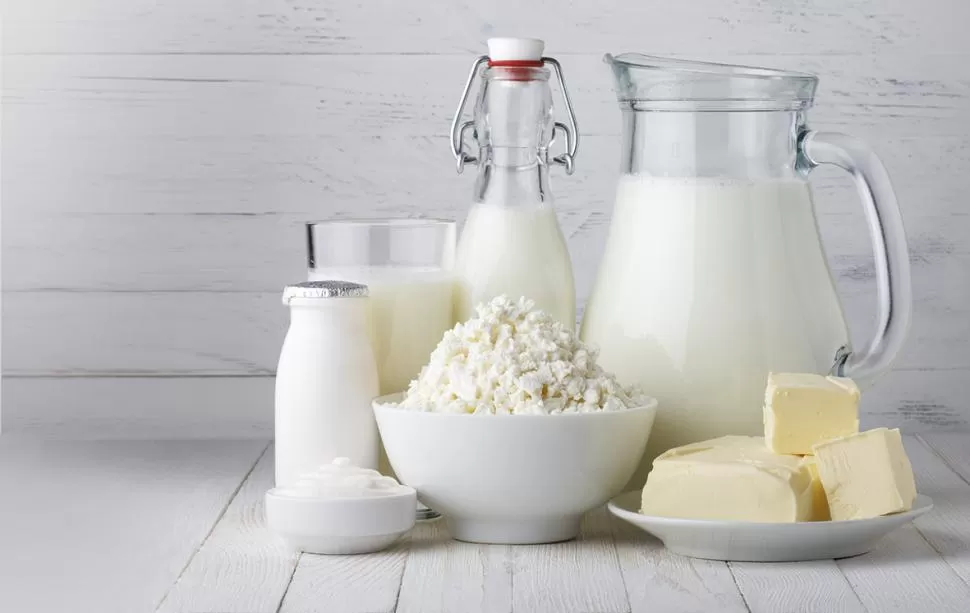 PROTEÍNAS. Nutricionistas recomiendan consumir lácteos a diario. 