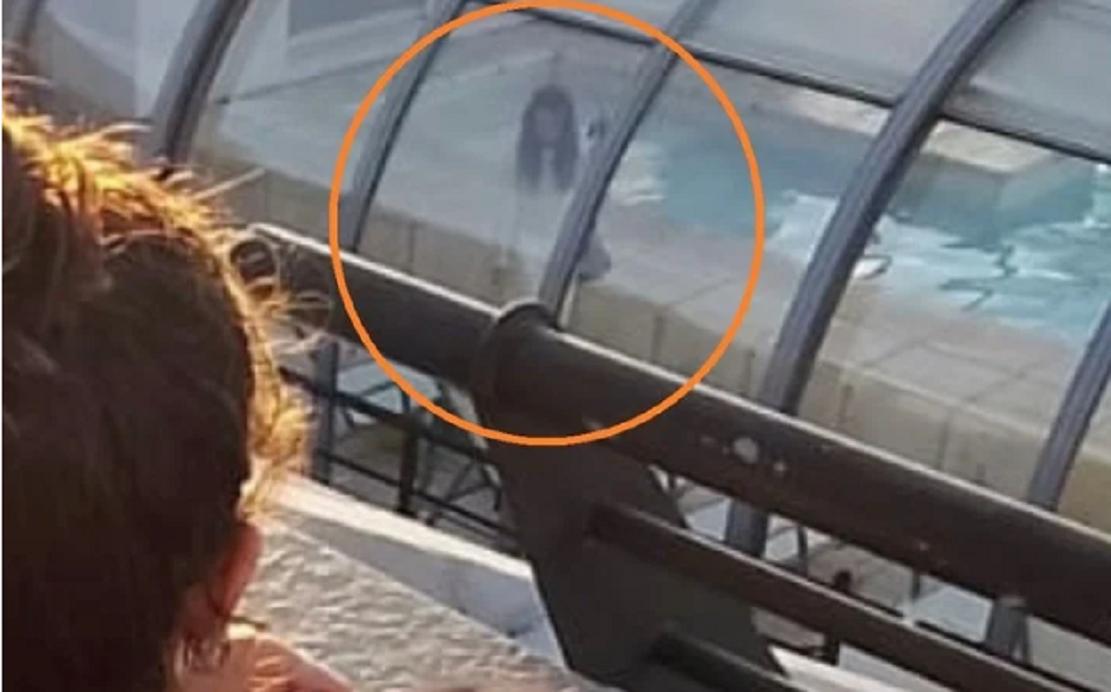 Le sacó una foto a su novia en el hotel y descubrió un detalle escalofriante