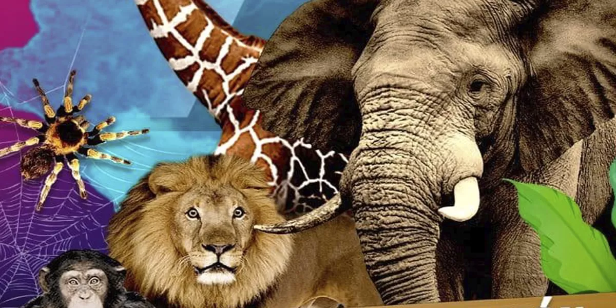 Eco muestra: un recorrido animal para toda la familia