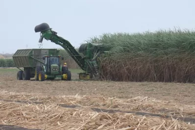 Los cañeros reclamaron a los ingenios que cumplan con el cupo de bioetanol