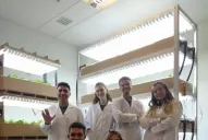 Crean un sistema que hackea el metabolismo de las plantas para mejorar su crecimiento