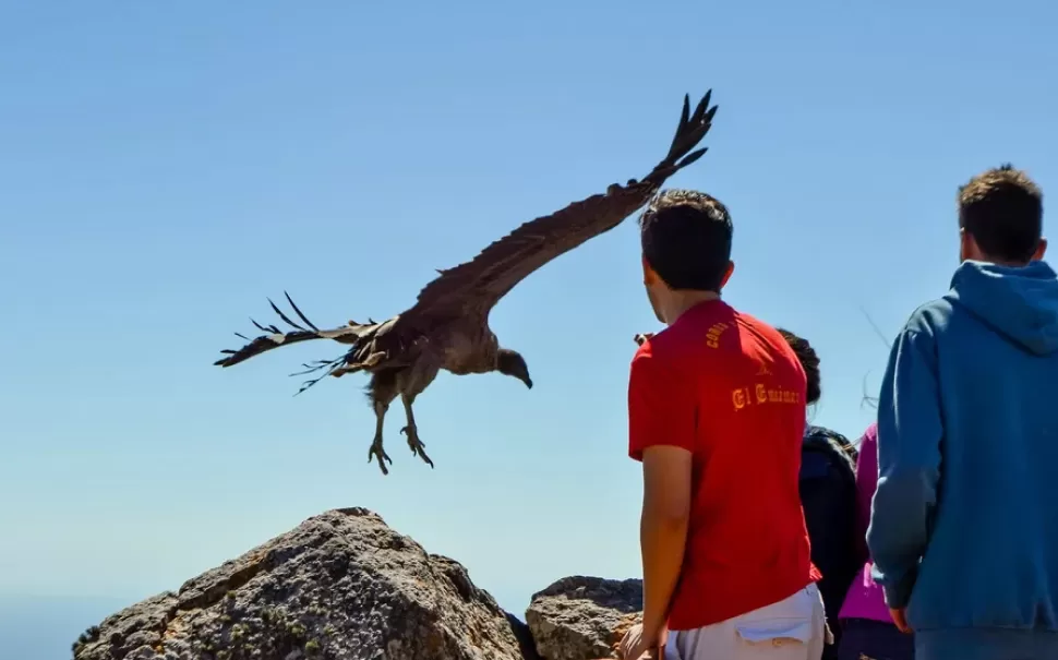 Quebrada de Los Cóndores en Sierra de los Quintero (Prensa Ministerio de Turismo y Deportes de la Nación)