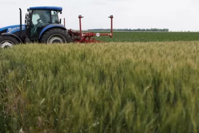 Según la ONU, la guerra en Ucrania podría provocar hambre a 19 millones de personas