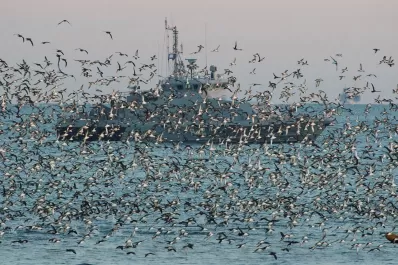 Las minas se interponen entre los granos de Ucrania y su salida al mundo