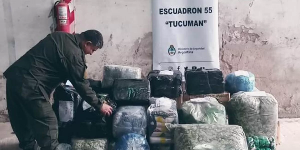 Incautaron más de 300 kilos de hojas de coca en estado natural