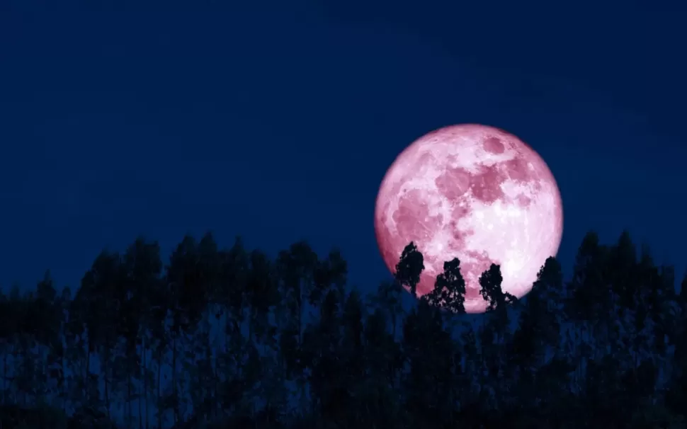 La Luna de Fresa se verá más grande y brillante en todo el mundo.