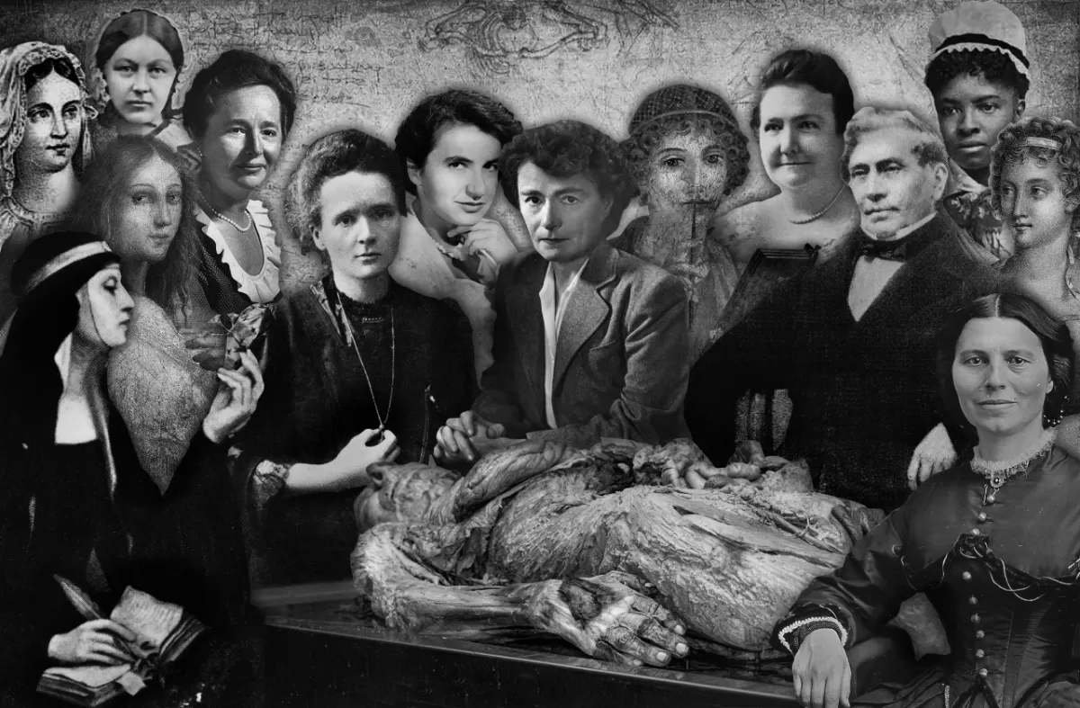 “MI LECCIÓN DE ANATOMÍA”. La realización de Valeria Cannata se exhibe en la Facultad Regional Tucumán de la Universidad Tecnológica Nacional.