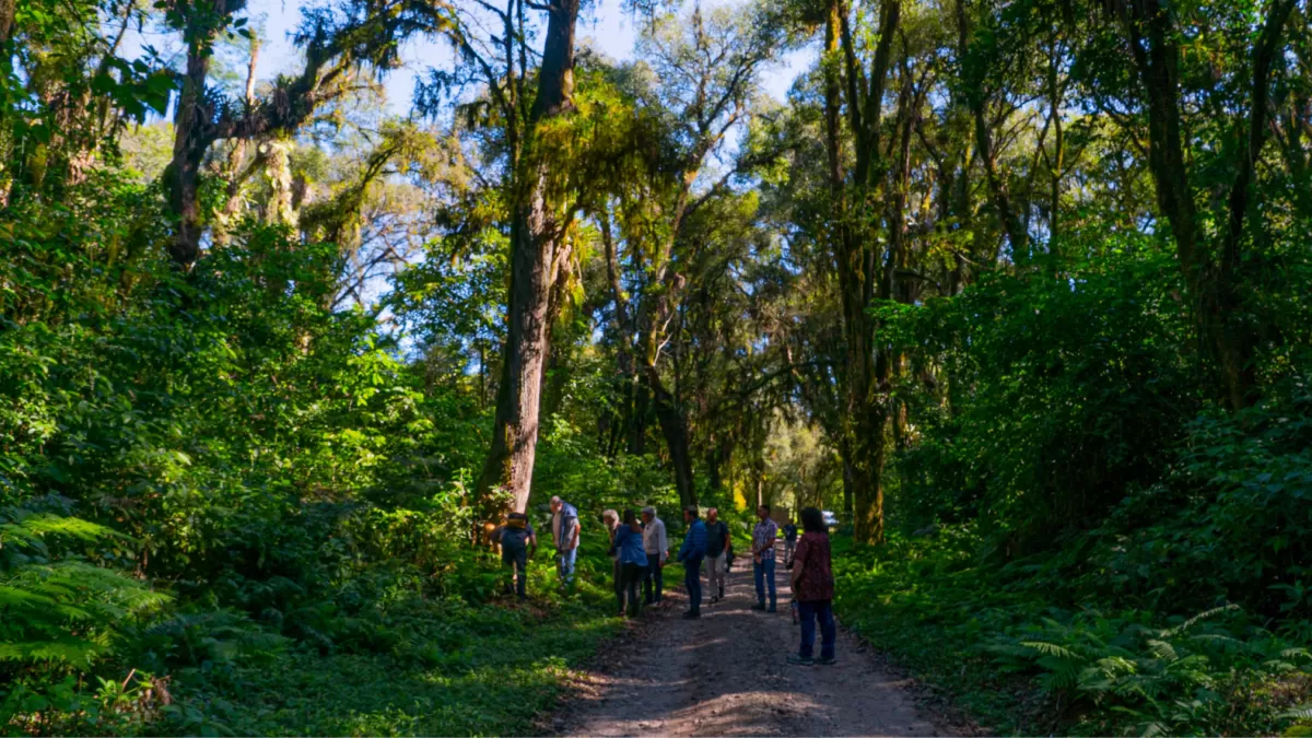 Los expedicionarios realizan un paseo por la selva pedemontana de Tucumán
