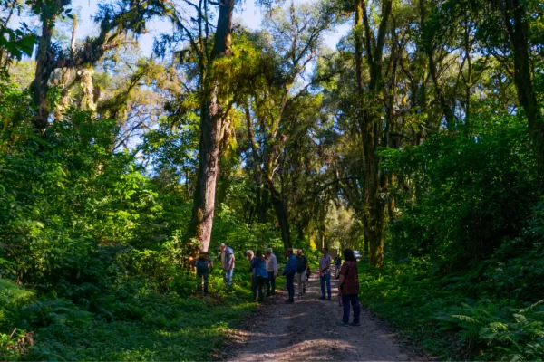 Visita al último refugio de nuestra selva de llanura