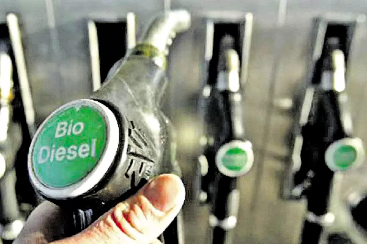 La Nación autorizó un incremento de un 50% en el corte del biodiesel