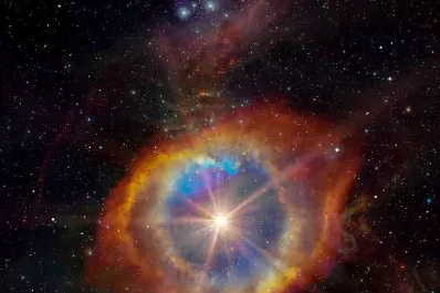 IV Jornadas de Astrofísica Estelar