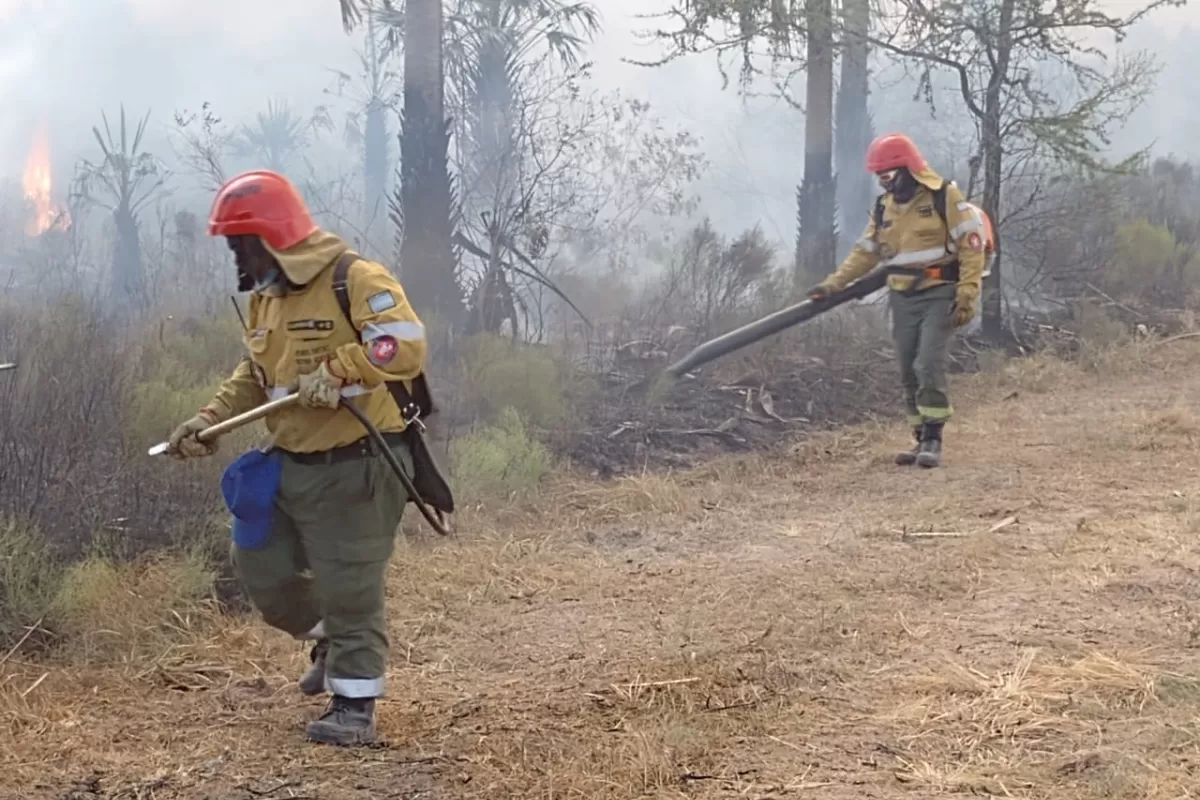 DAÑO. En Corrientes se quemaron más de un millón de hectáreas. 