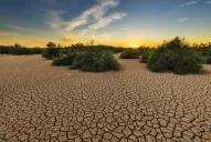 El riesgo de desertificación obliga a estar alertas en la provincia