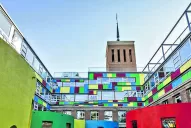 Cuatro requisitos básicos para tener escuelas verdes y saludables