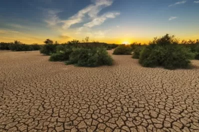 El riesgo de desertificación obliga a estar alertas en la provincia