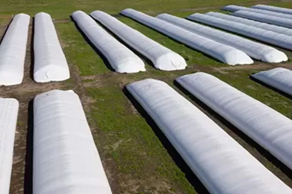 Mapearon el uso del silo bolsa en la región