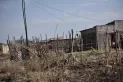 “La crisis económica trae más enfermedad y más violencia”