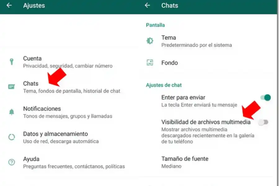 WhatsApp. Cómo configurar la descarga multimedia.