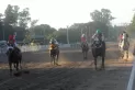 Turf: la corona espera a su rey