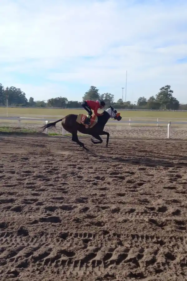 BRILLÓ. Sarfo, con Pablo Alarcón en su montura, se lució en los ensayos y buscará la recuperación en el clásico “Aniversario de la Caja Popular de Ahorros”.