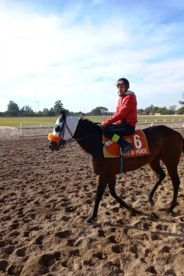 Turf: la corona espera a su rey