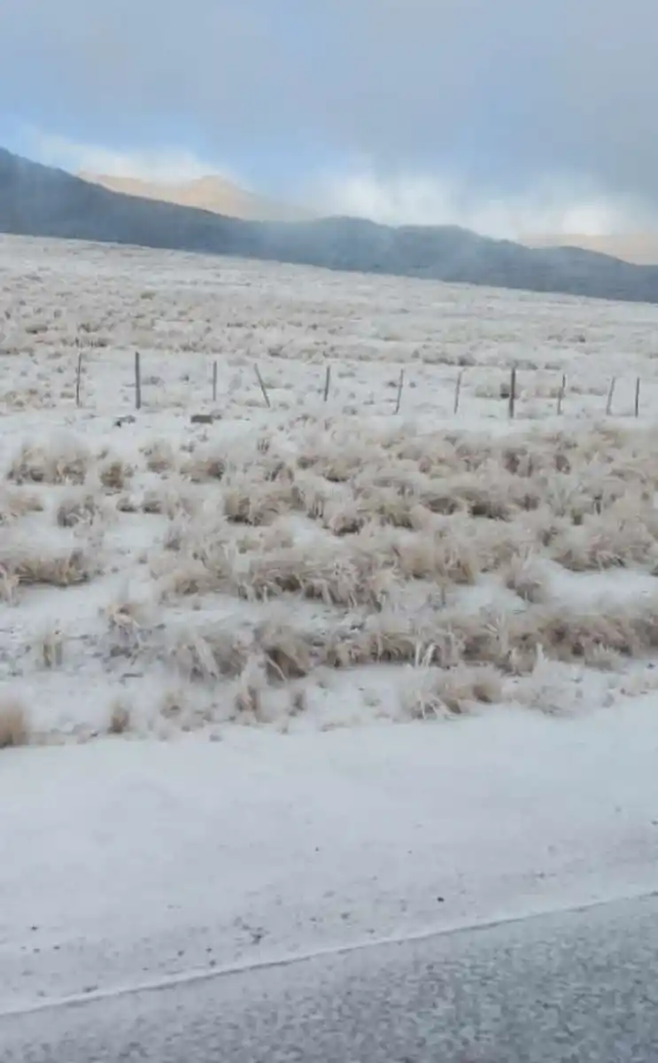 BAJO UN MANTO BLANCO. Tafí del Valle amaneció bajo la nieve.