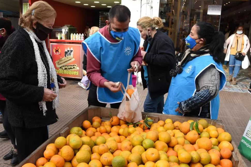 Naranjas agrias: regalo del municipio