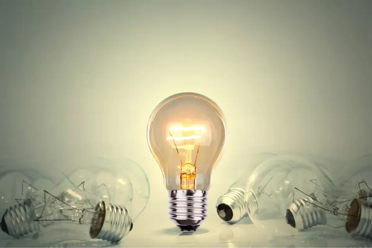 Tarifa Social Anses: cómo es el trámite para pagar menos de luz y gas