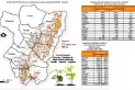 En la campaña 2021/2022 se sembraron en Tucumán unas 172.247 hectáreas de soja
