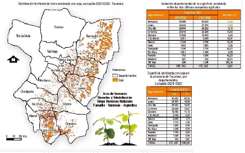 En la campaña 2021/2022 se sembraron en Tucumán unas 172.247 hectáreas de soja