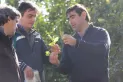HLB: la Eeaoc dedicó una jornada de capacitación con expertos foráneos